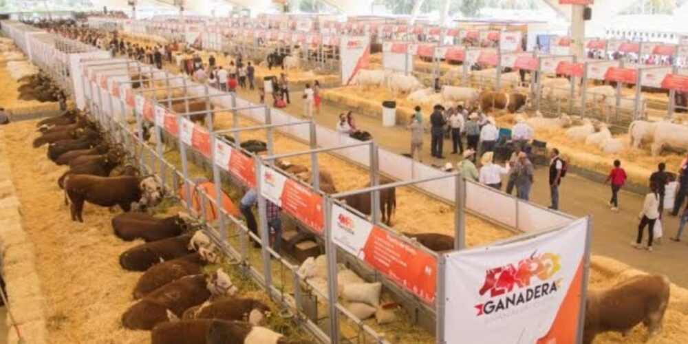 Habrá 350 ejemplares en Exposición Ganadera y granjas interactivas para